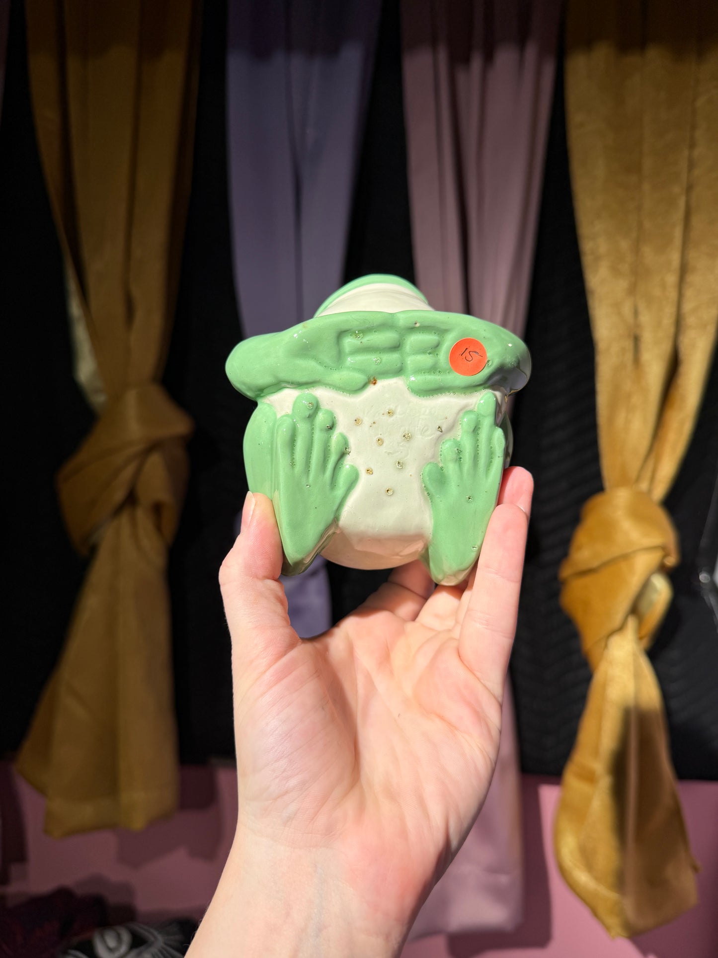 Etta the small frog 15