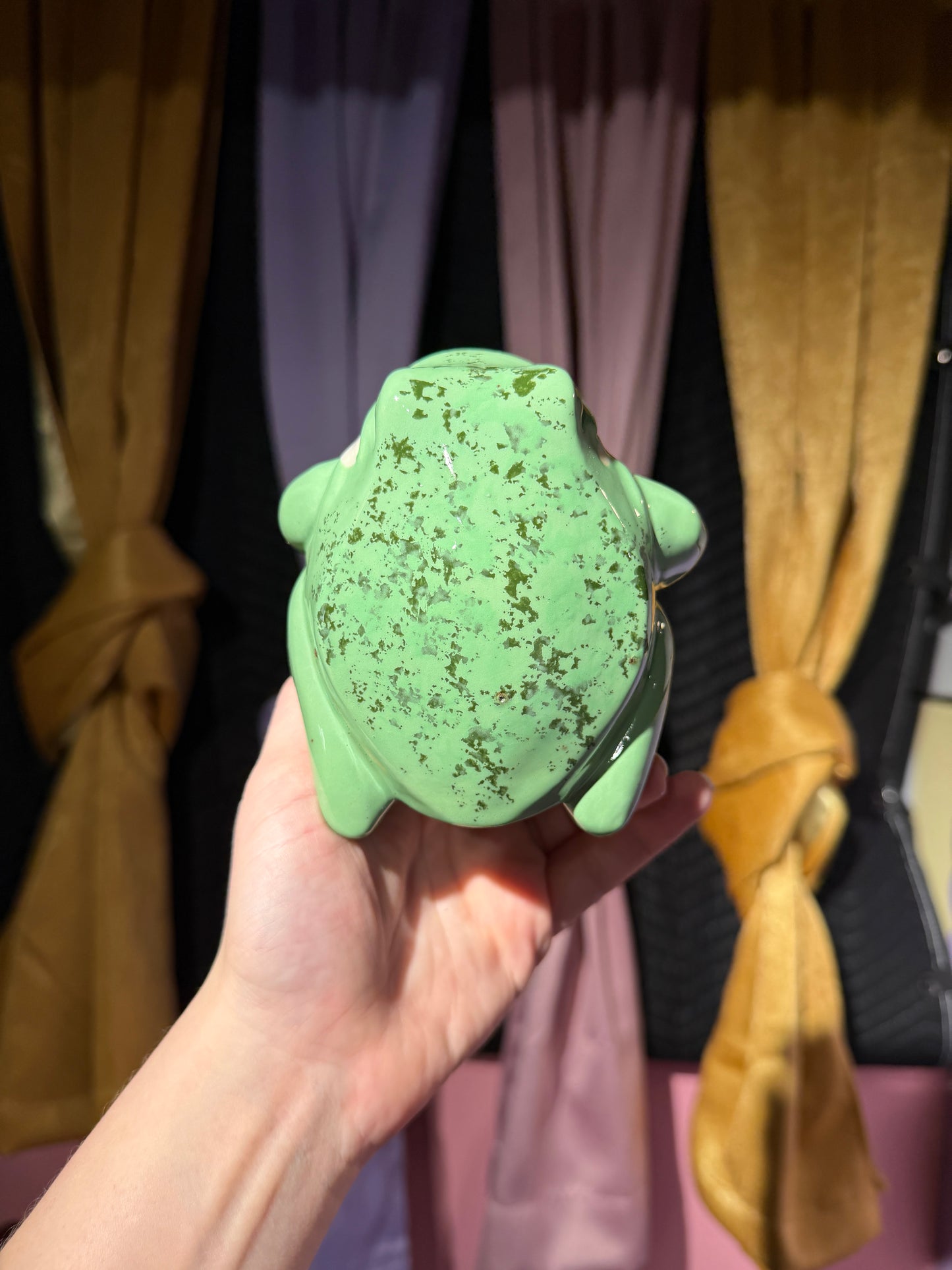 Etta the small frog 15