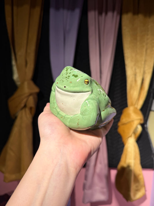 Boris the small frog 16