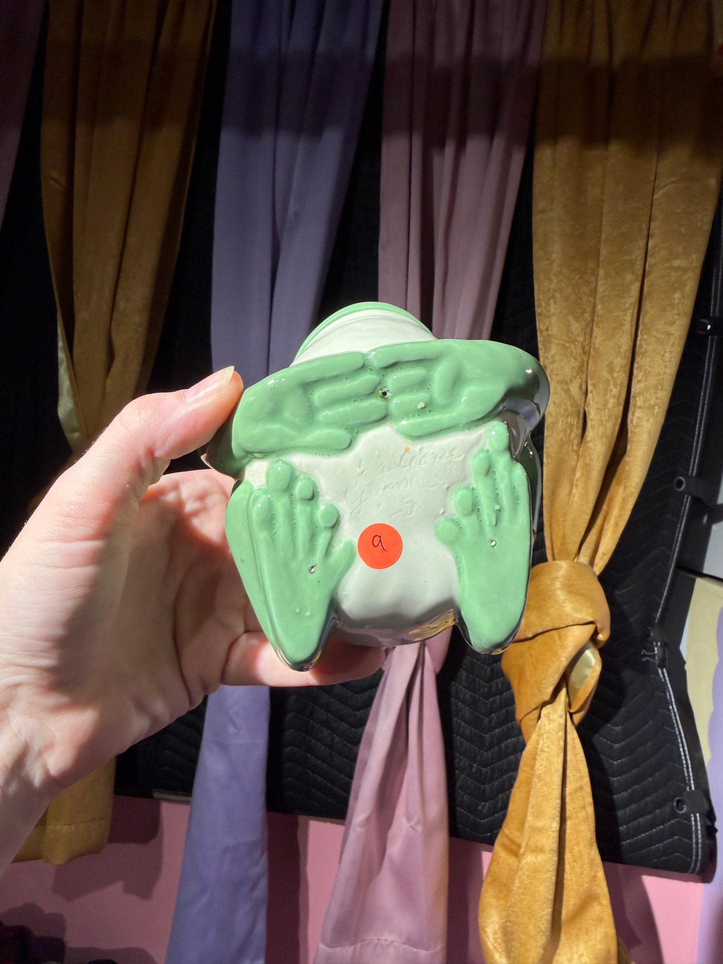 Poe the small frog 9