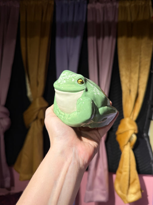 Poe the small frog 9