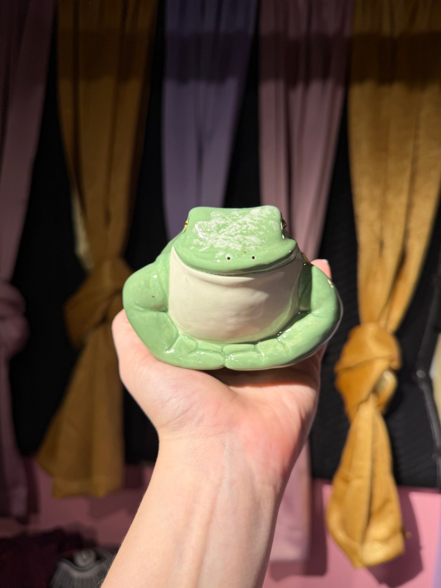 Poe the small frog 9