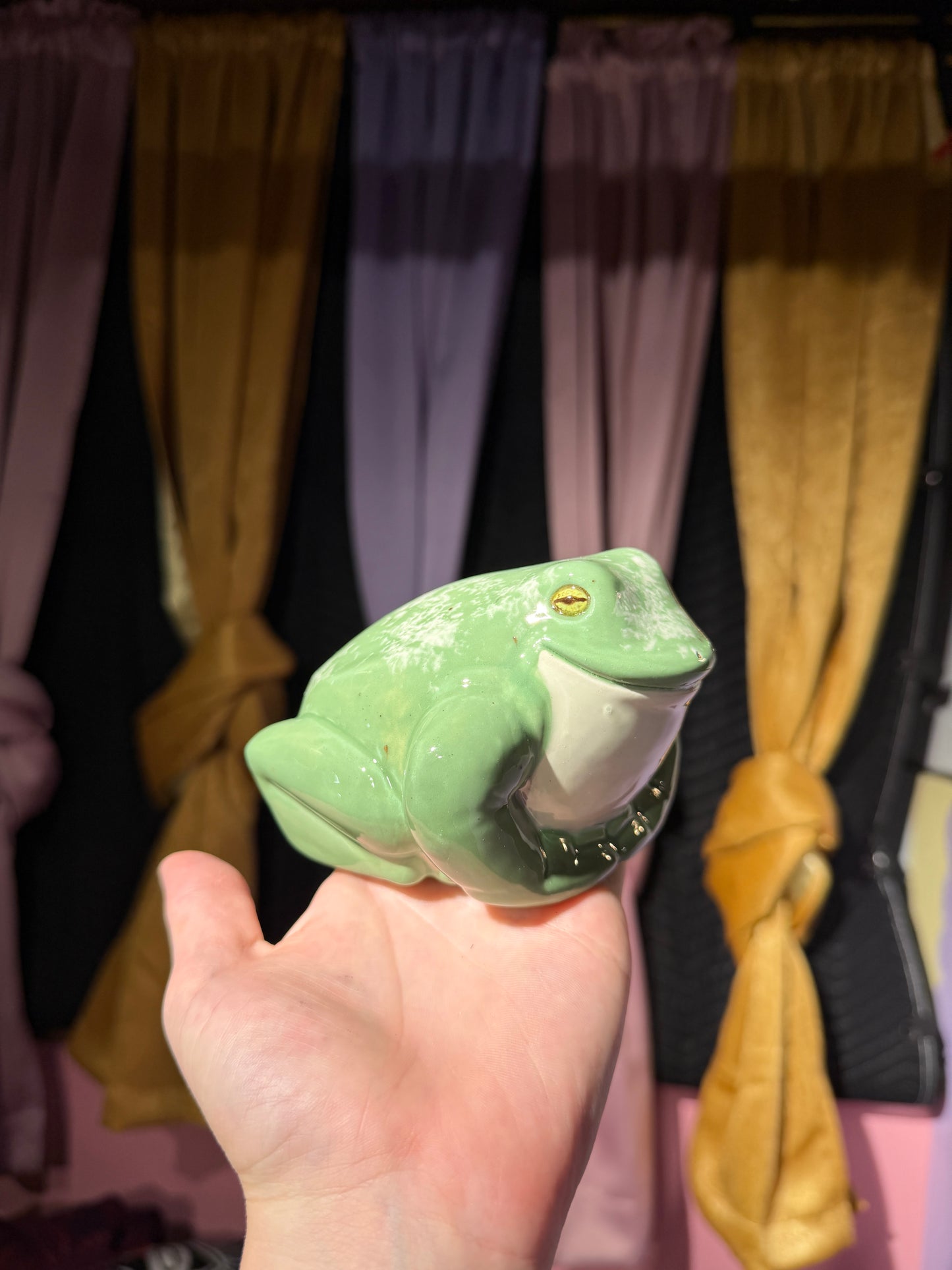 Poe the small frog 9