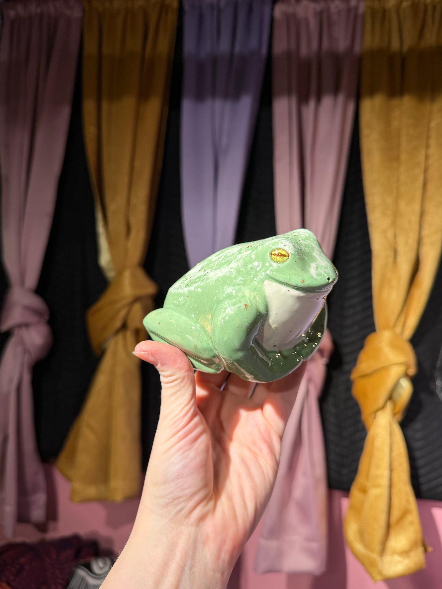 Stella the small frog 1