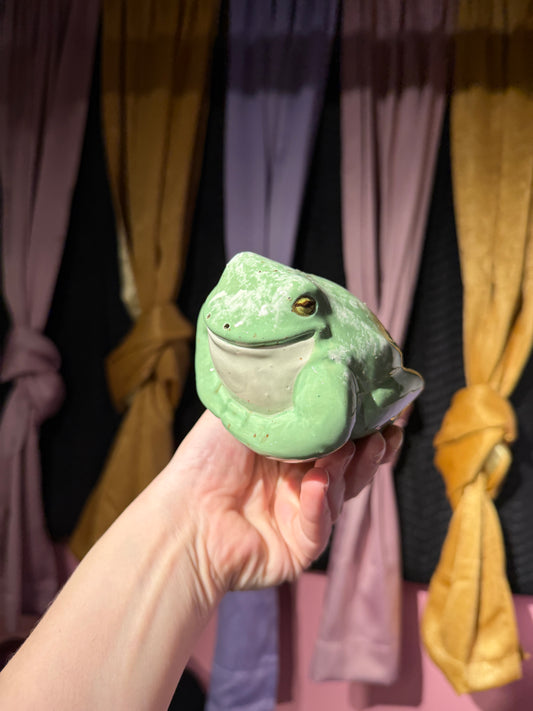 Stella the small frog 1