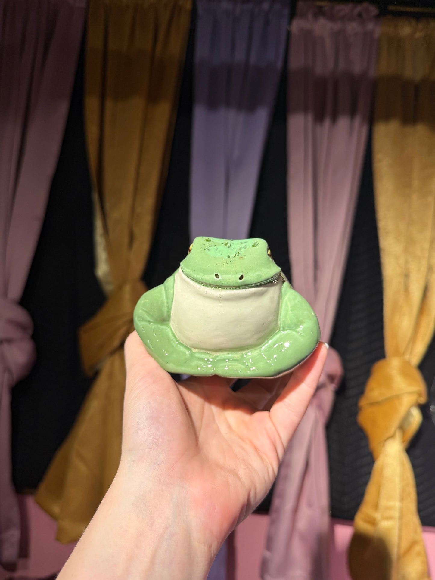 Echo the small frog 8