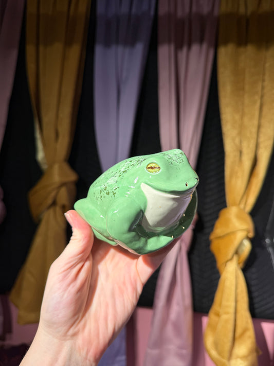 Cleo the small frog 18