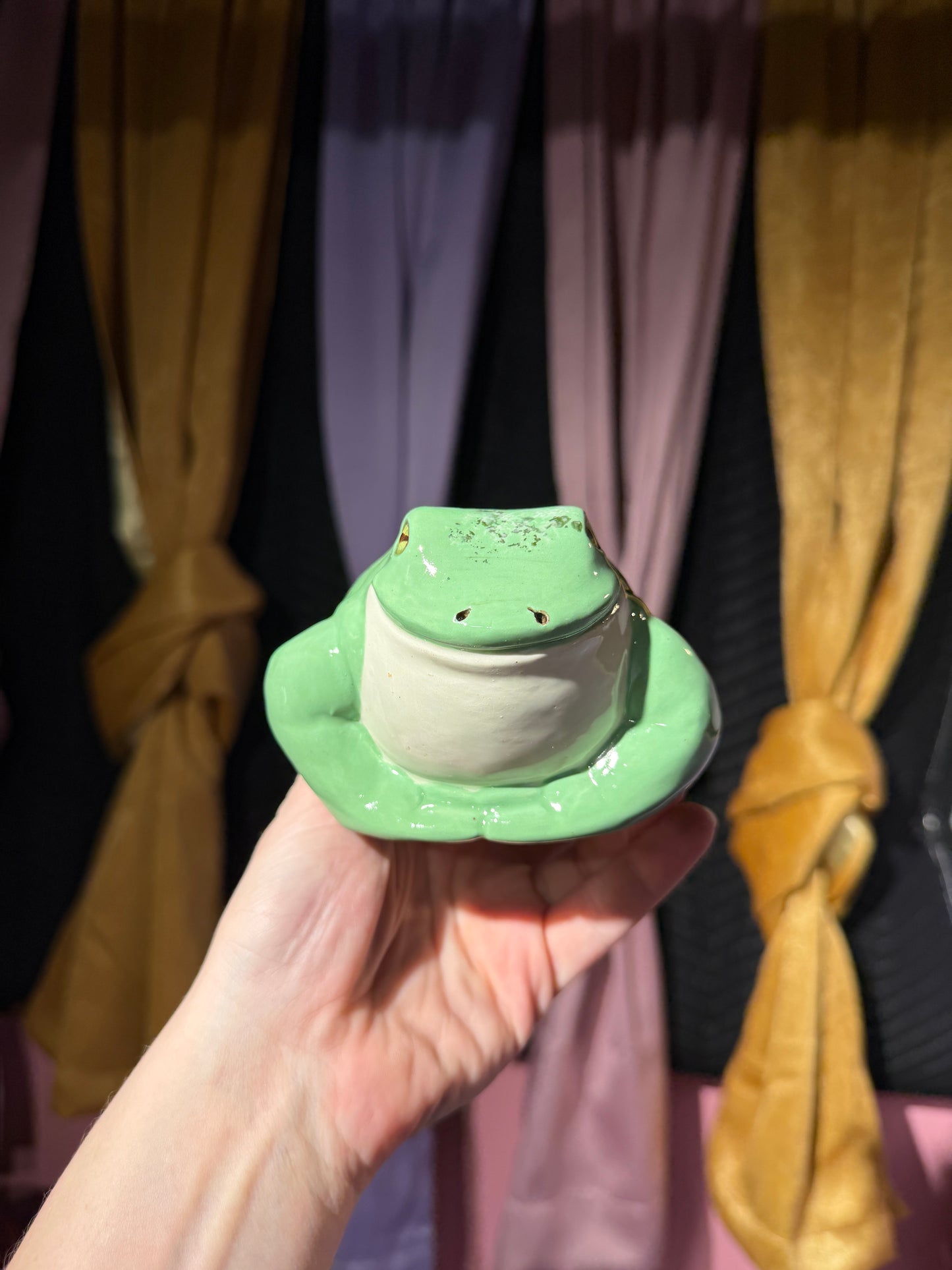 Cleo the small frog 18