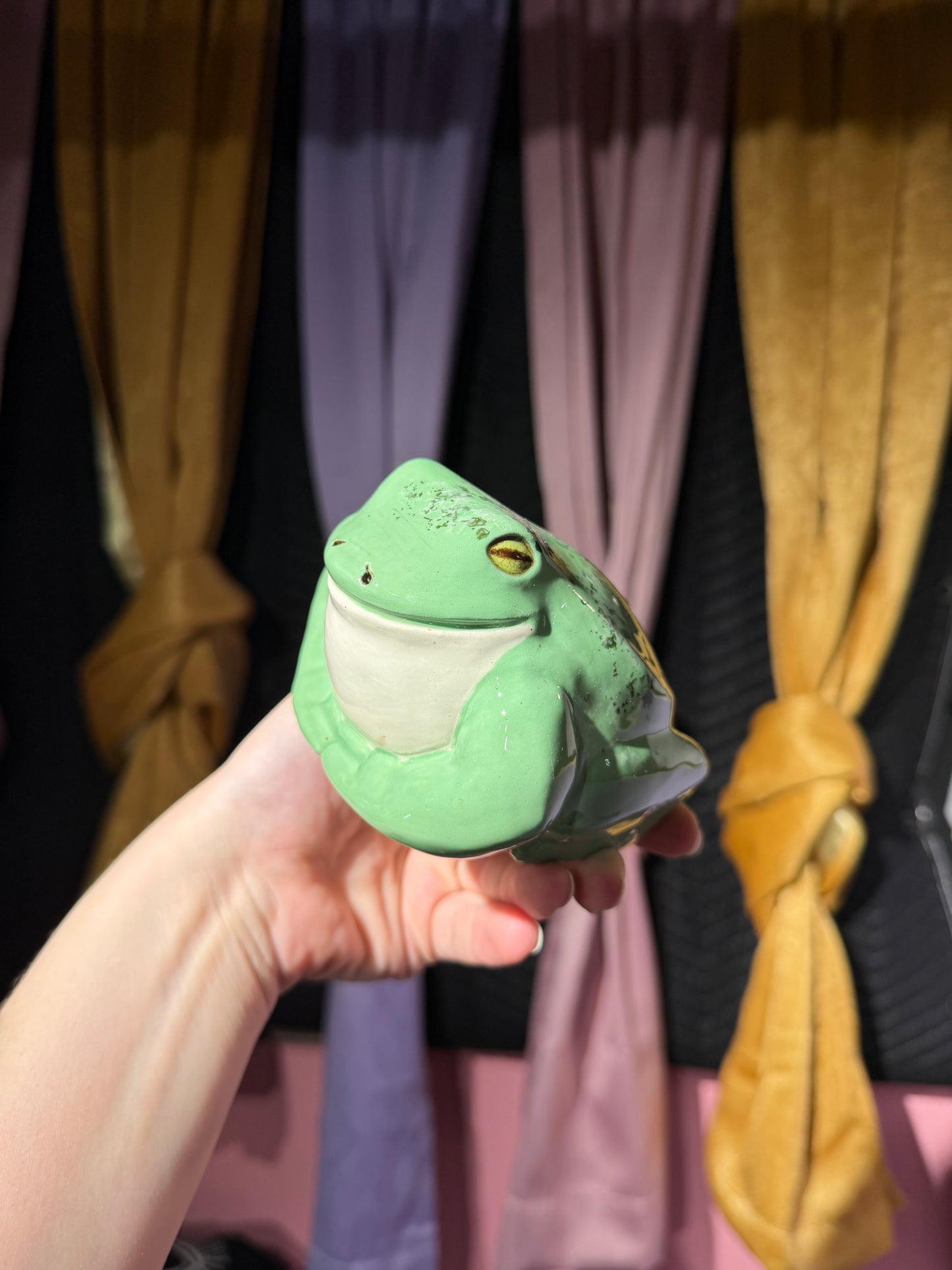 Cleo the small frog 18