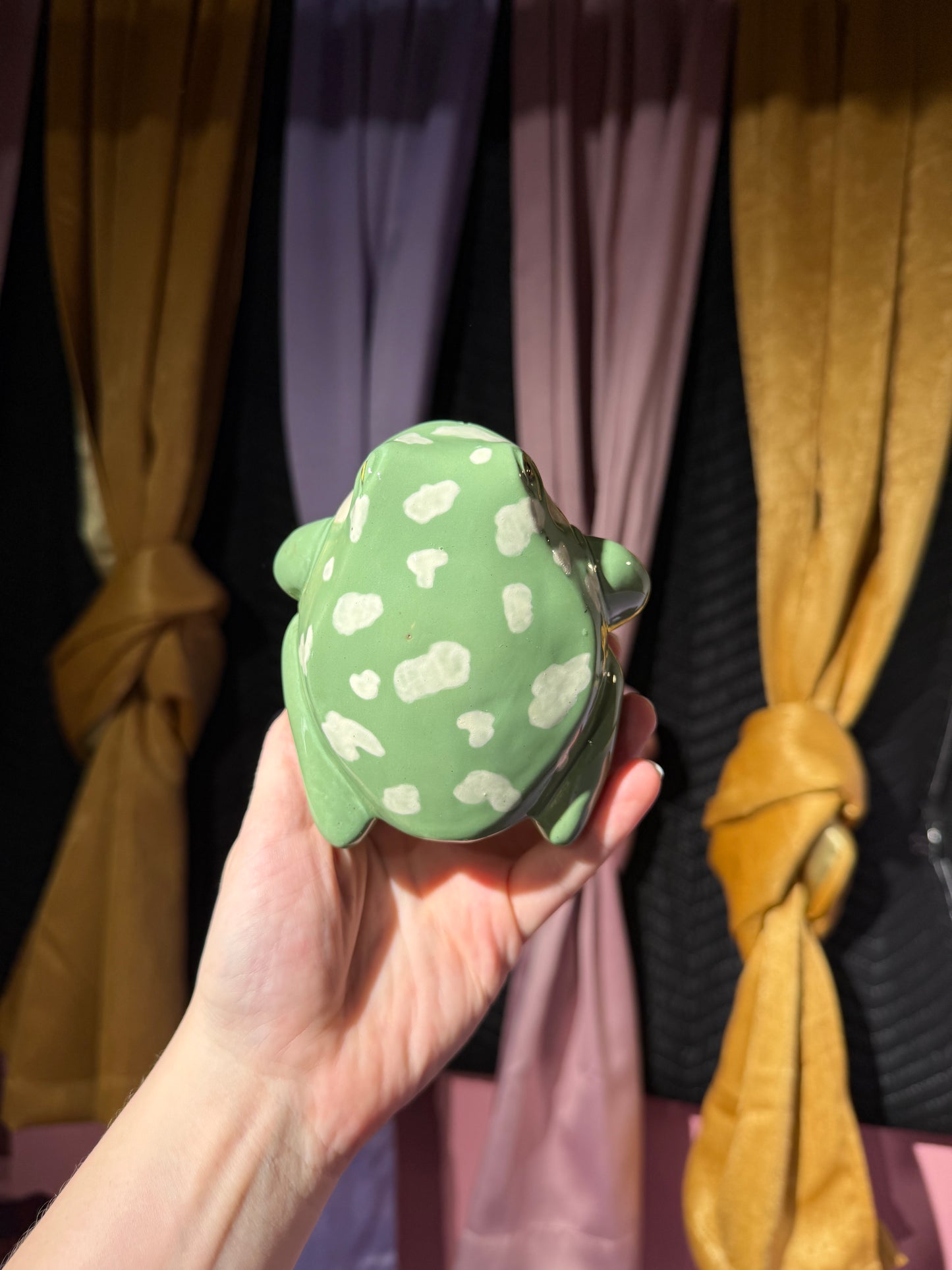 Vernon the small frog 20