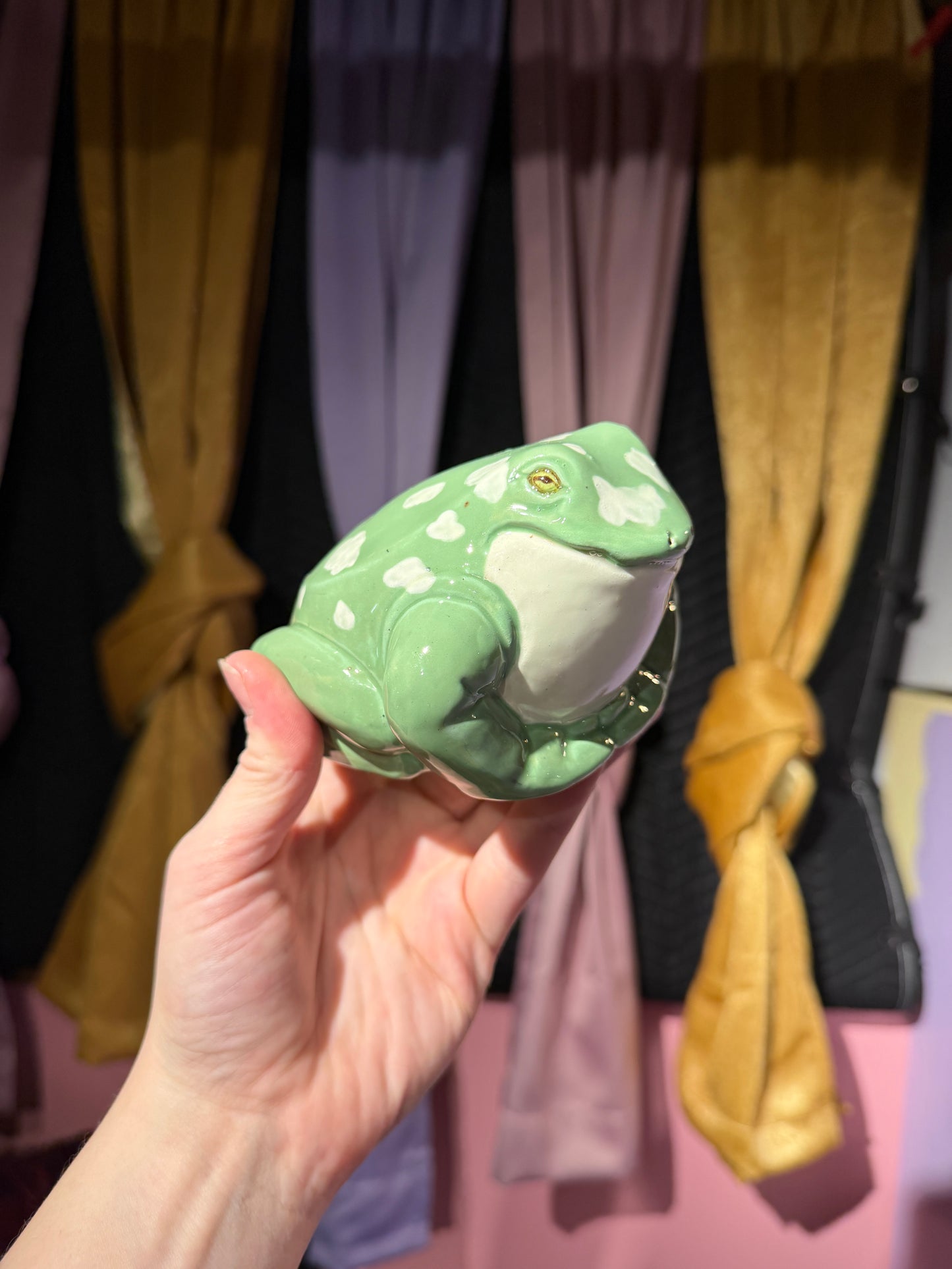 Vernon the small frog 20