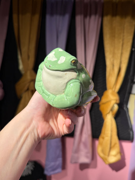 Vernon the small frog 20