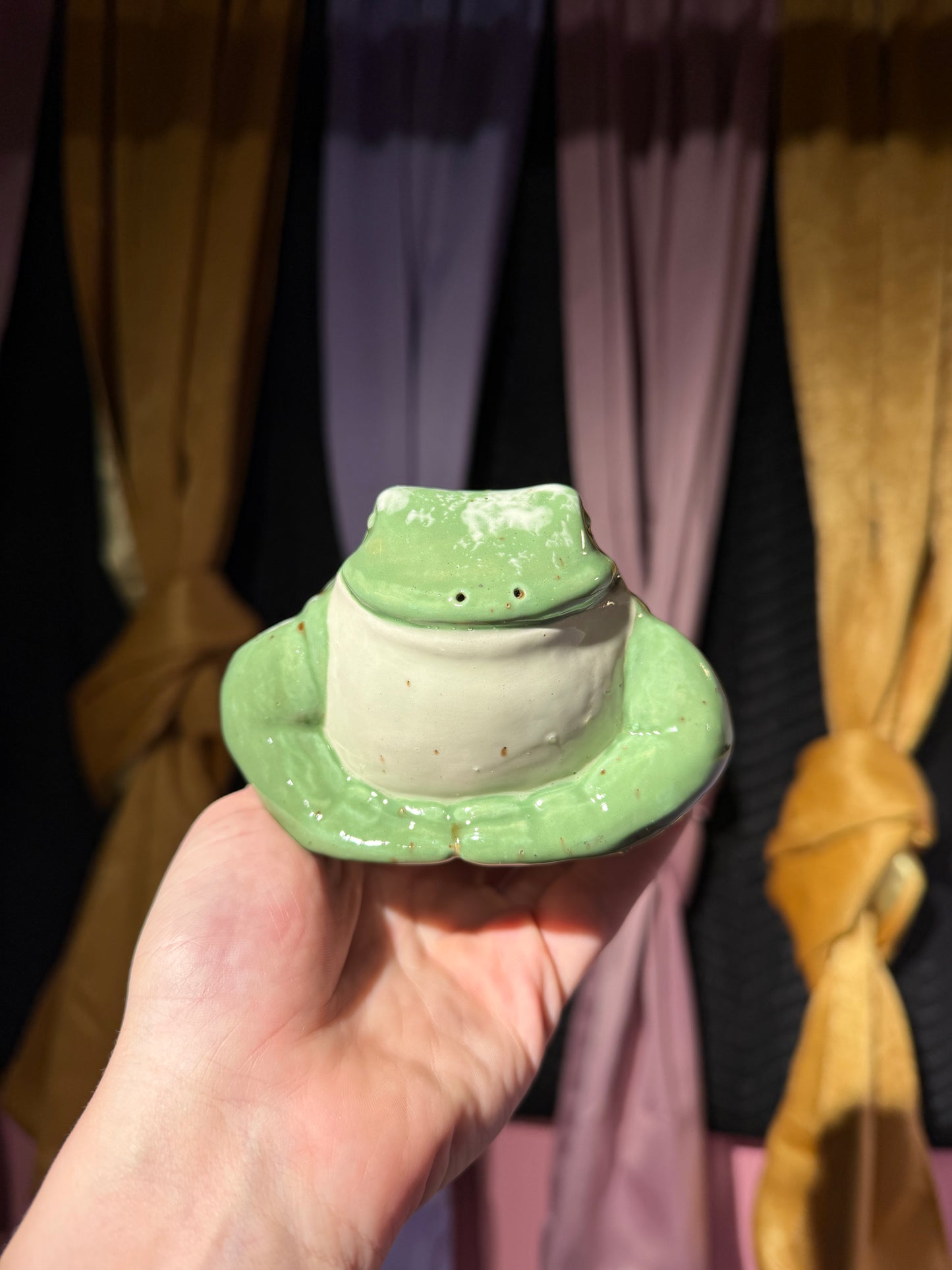 Hyde the small frog 6