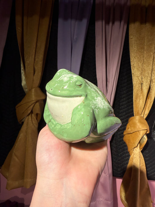 Hyde the small frog 6