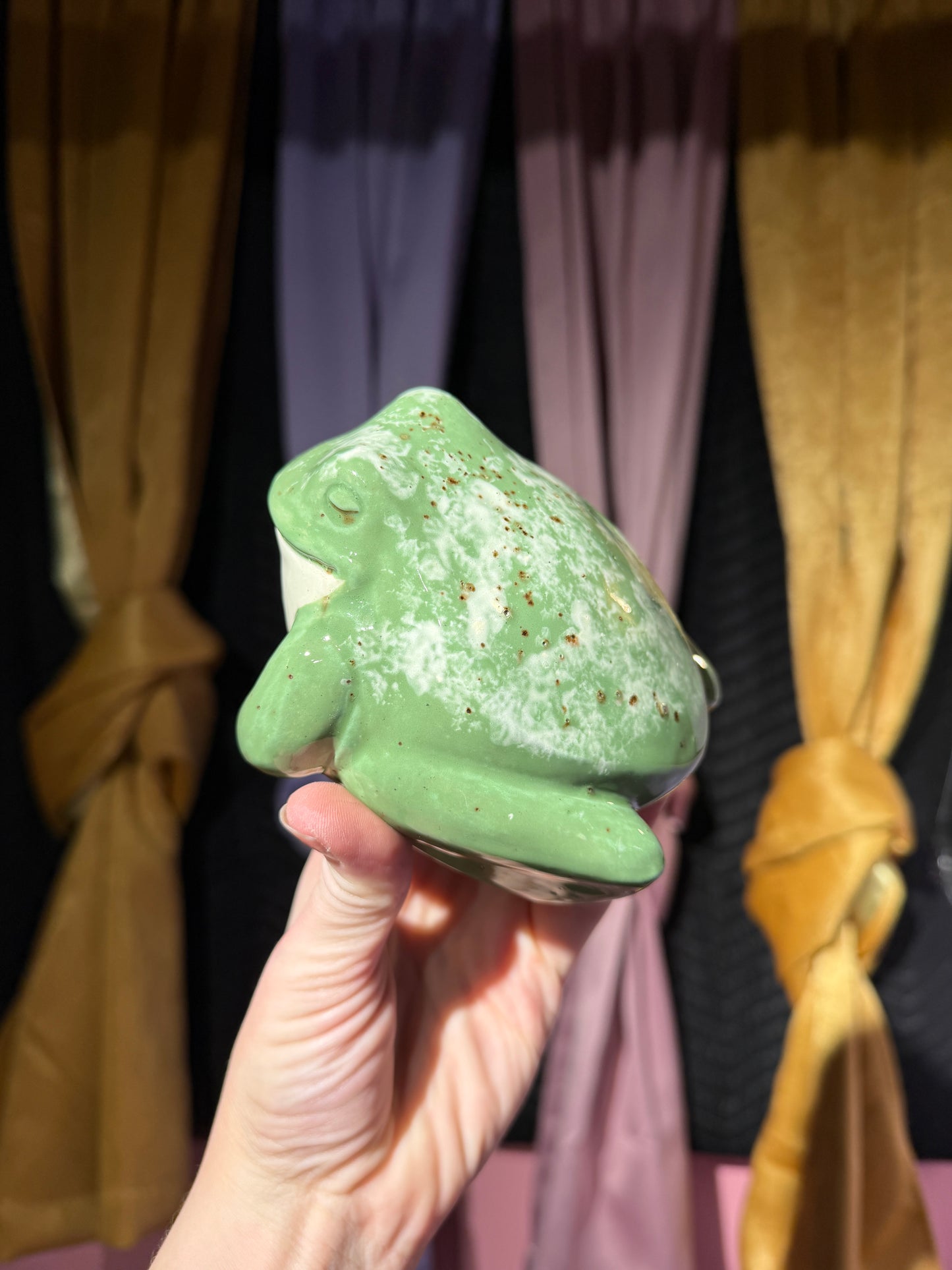 Hyde the small frog 6